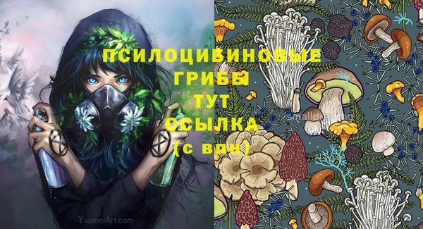 МДМА Белокуриха