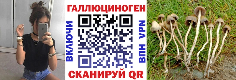 Галлюциногенные грибы Psilocybe  мориарти формула  Воскресенск 