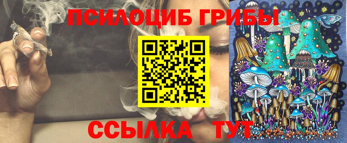 Галлюциногенные грибы Cubensis  Воскресенск  Псилоцибиновые грибы Cubensis 
