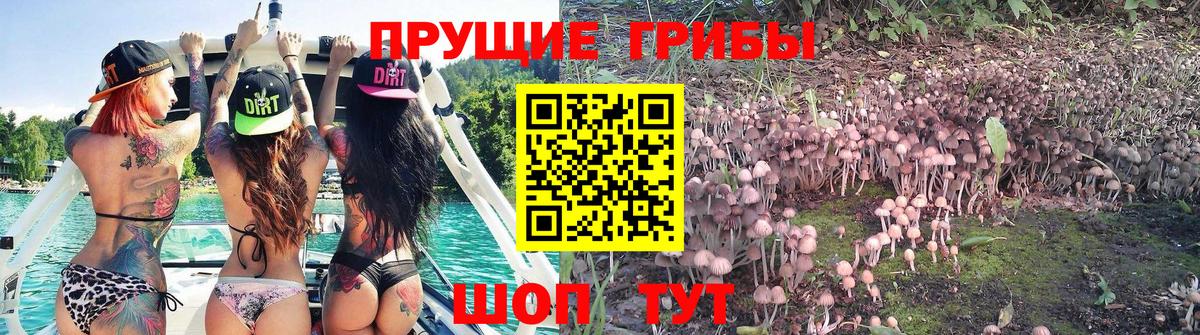 Псилоцибиновые грибы прущие грибы Воскресенск